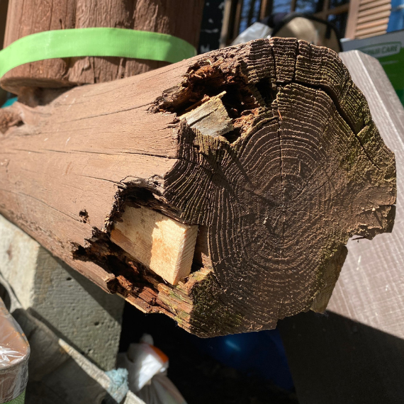 職人による再生塗装の現地調査と丁寧なご提案