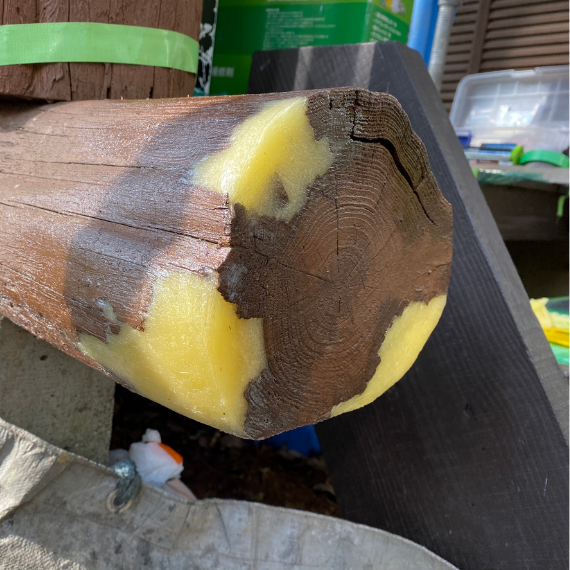 現地調査の様子