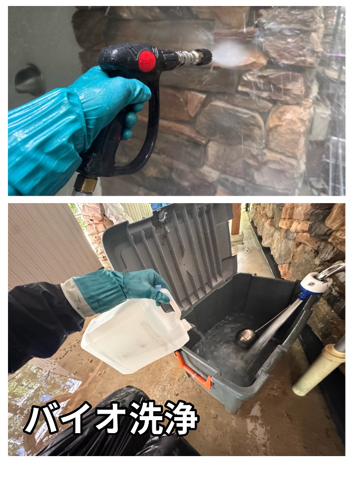 フェイクロック部分のバイオ洗浄